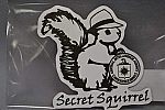 Magnet Logo Secret Squirrel